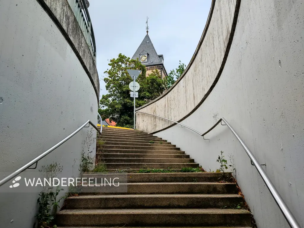 202308151-11 - Münster St. Bonifatius in Hameln, Weserbergland, Niedersachsen, Deutschland
