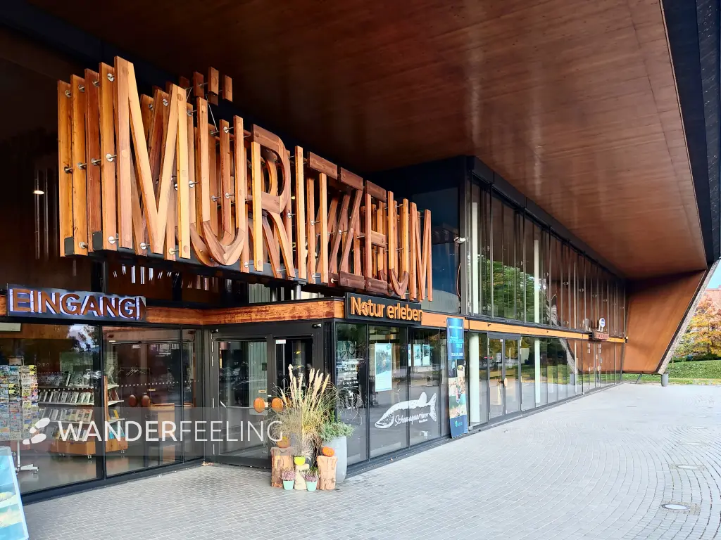202310300-37 - Müritzeum in Waren, Mecklenburgische Seenplatte, Mecklenburg-Vorpommern, Deutschland