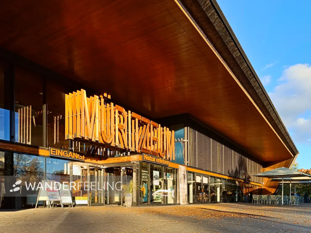 202510180-32 - Müritzeum in Waren, Mecklenburgische Seenplatte, Mecklenburg-Vorpommern, Deutschland