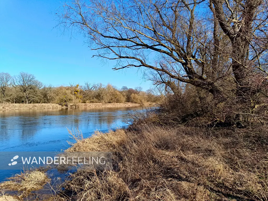 202603030-17 - Mulde in Dessau, Anhalt-Dessau-Wittenberg, Sachsen-Anhalt, Deutschland