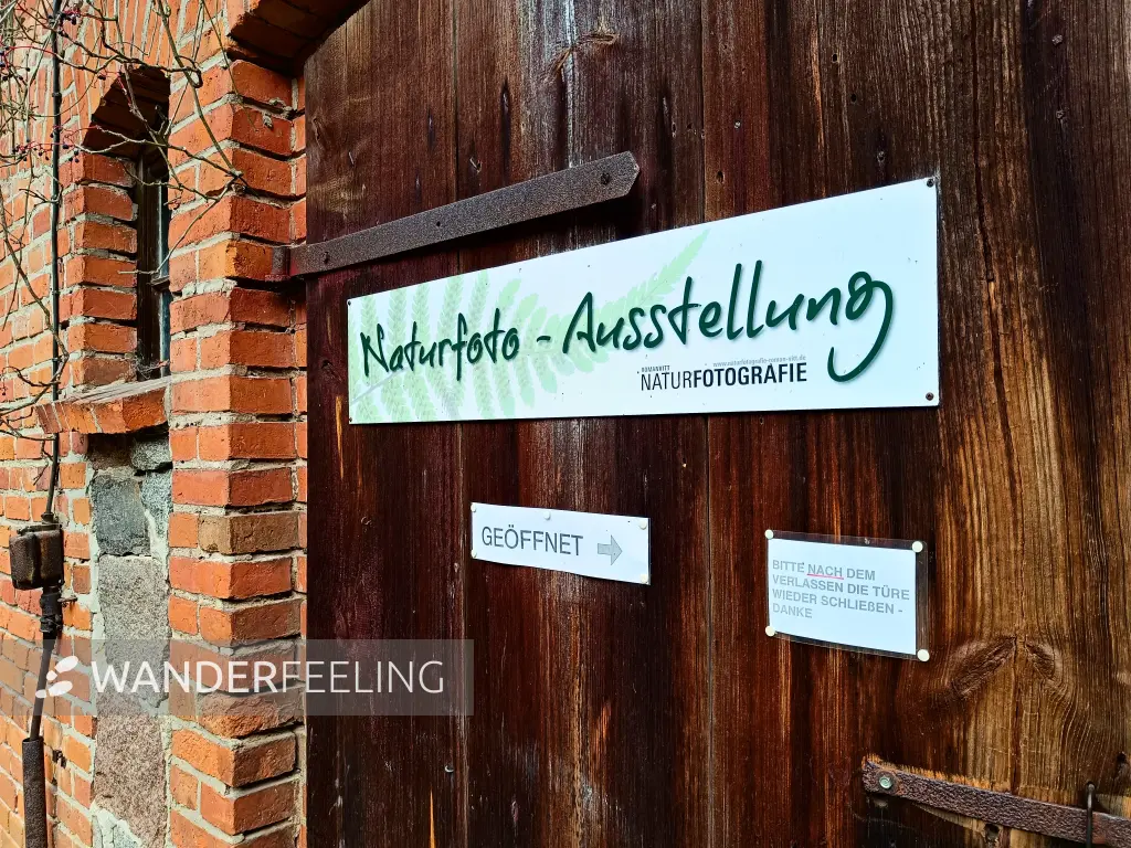 202511040-14 - Naturfoto-Ausstellung im Müritz-Nationalpark bei Serrahn, Mecklenburgische Seenplatte, Mecklenburg-Vorpommern, Deutschland