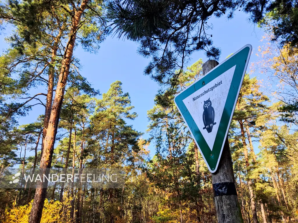 202311130-13 - Naturschutzgebiet bei Müggelheim, Berlin, Deutschland