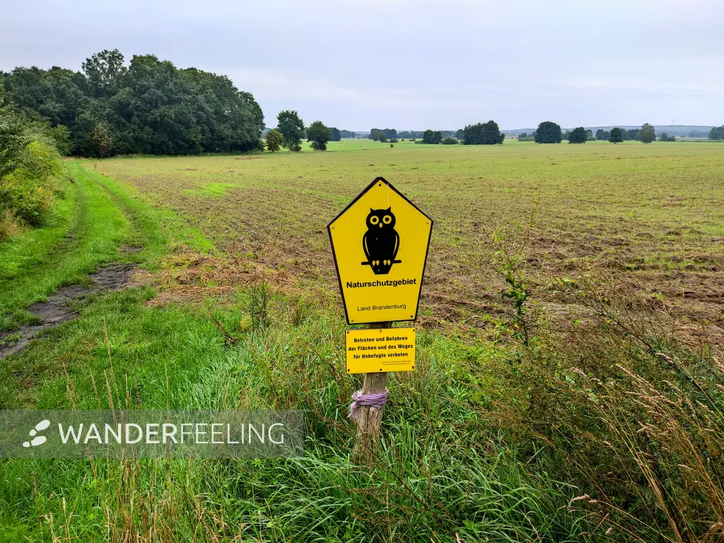 202308260-02 - Naturschutzgebiet in der Nuthe-Nieplitz-Niederung, Fläming, Brandenburg, Deutschland