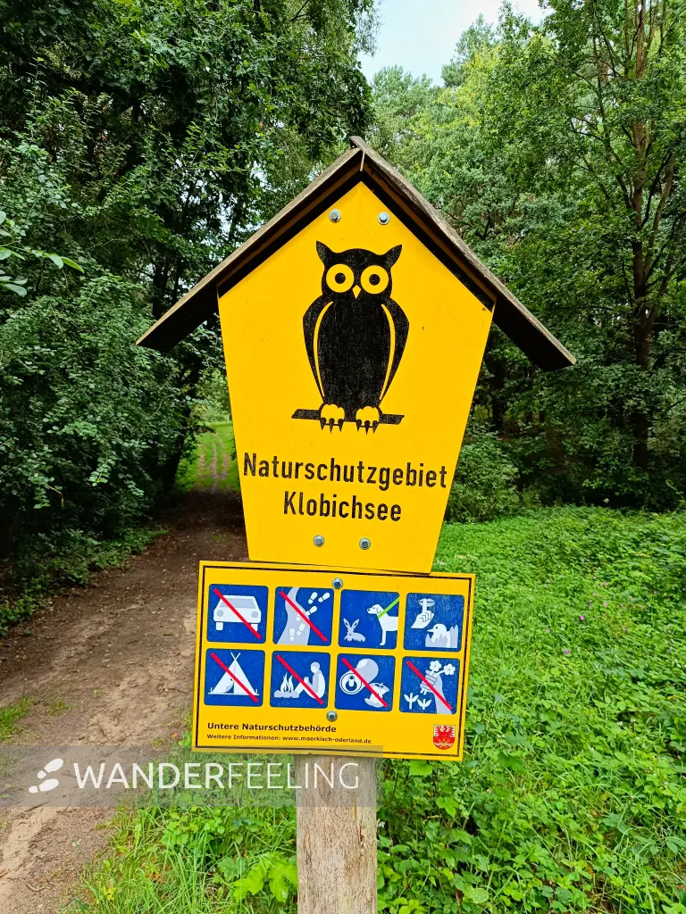 202508020-09 - Naturschutzgebiet Klobichsee bei Münchehofe, Märkische Schweiz, Seenland Oder-Spree, Brandenburg, Deutschland