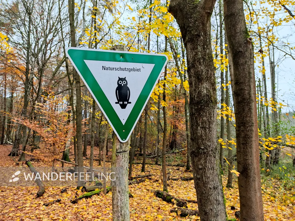 202311180-02 - Naturschutzgebiet Teufelsbruch im Spandauer Forst, Berlin, Deutschland