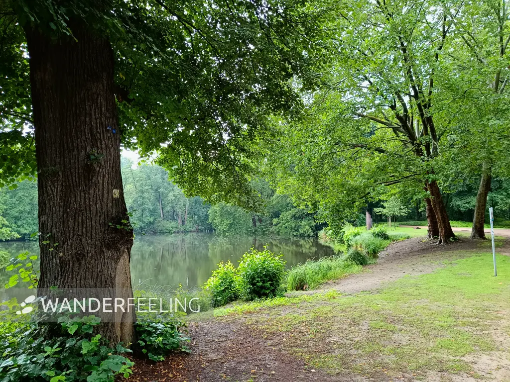 202507230-07 - Neuer See im Tiergarten, Berlin, Deutschland