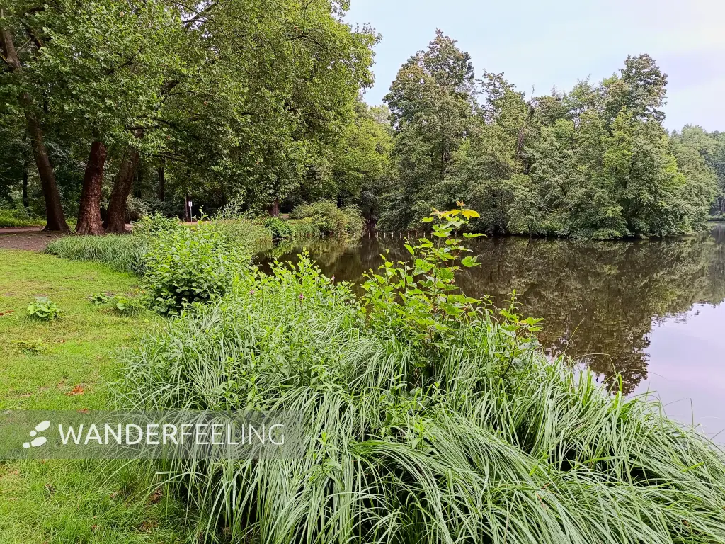 202507230-08 - Neuer See im Tiergarten, Berlin, Deutschland