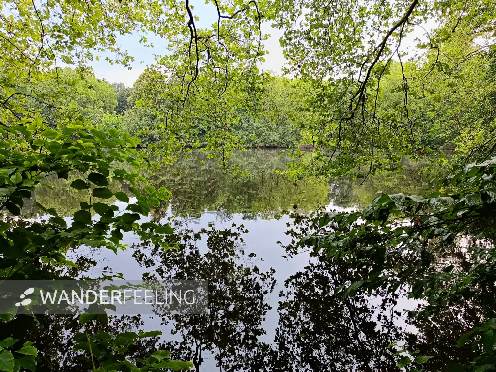 202507230-09 - Neuer See im Tiergarten, Berlin, Deutschland