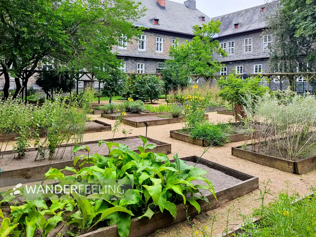 202308170-01 - Neuwerk-Garten in Goslar, Harz, Niedersachsen, Deutschland