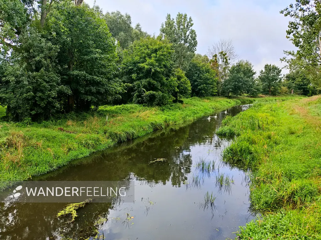 202308260-06 - Nieplitz bei Stangenhagen, Fläming, Brandenburg, Deutschland