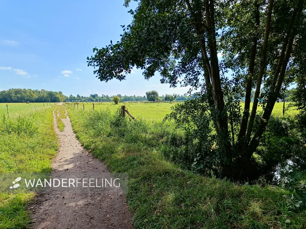 202508300-05 - Nordfeld in Heiligensee, Berlin, Deutschland