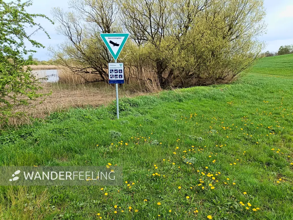 202404120-09 - NSG Schweenssand an der Süderelbe in Harburg, Hamburg, Deutschland