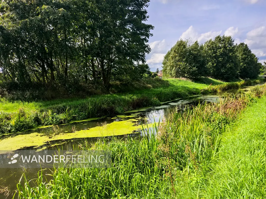 202308260-42 - Nuthe bei Schönhagen, Fläming, Brandenburg, Deutschland