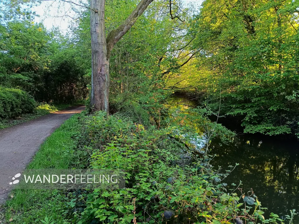 202604231-35 - Obererft in Neuss, Niederrhein, Nordrhein-Westfalen, Deutschland