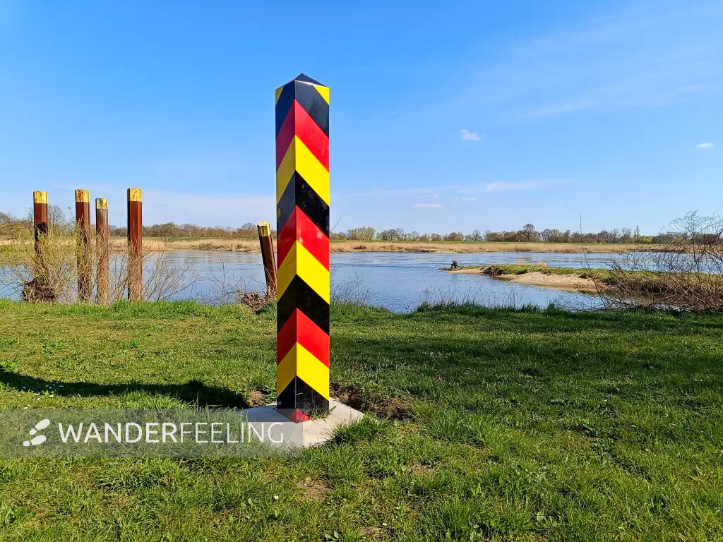 202604150-30 - Oder bei Lebus, Seenland Oder-Spree, Brandenburg, Deutschland
