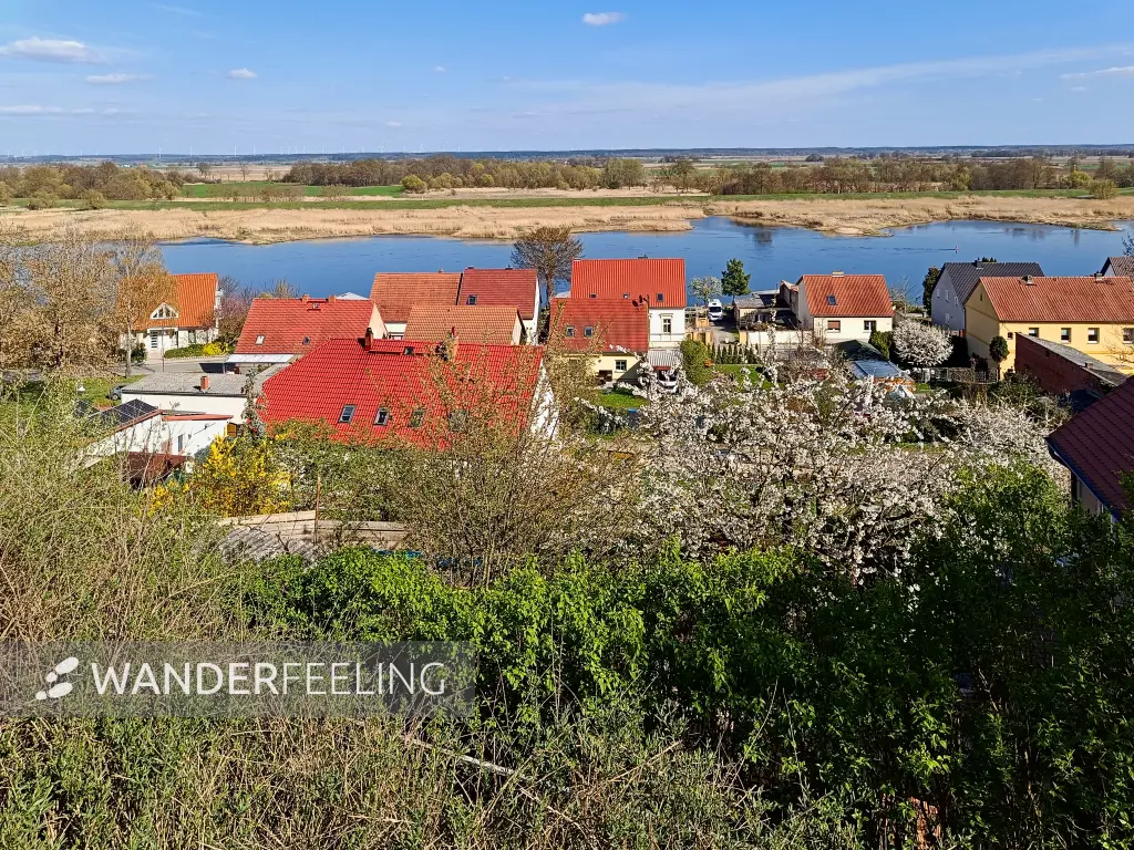 202604150-32 - Oder bei Lebus, Seenland Oder-Spree, Brandenburg, Deutschland