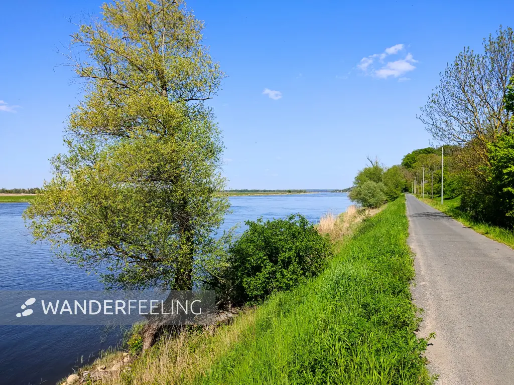 202305100-26 - Oder bei Zatoń Dolna (Niedersaathen), Westpommern, Polen