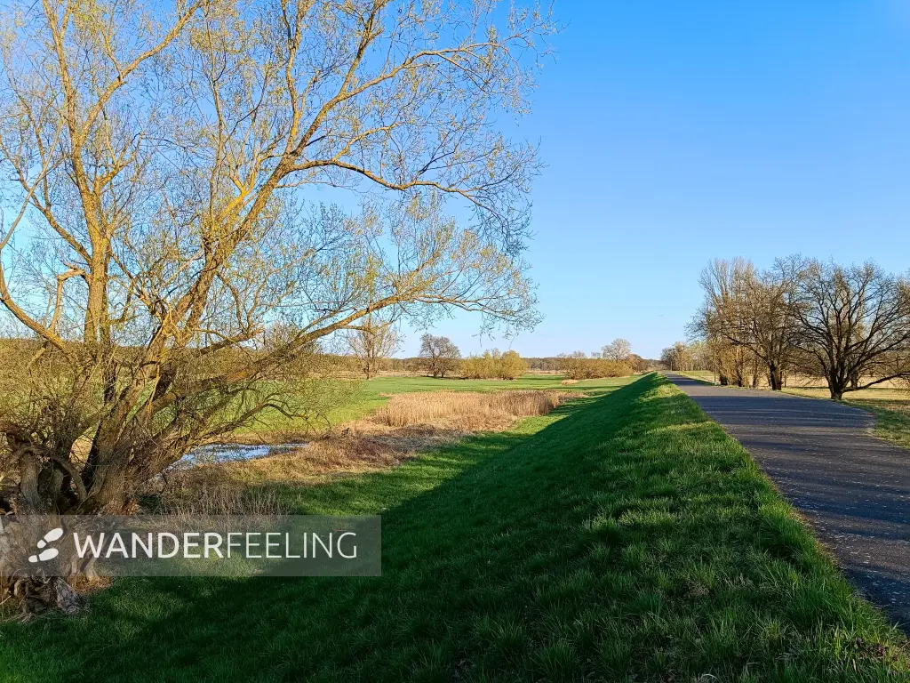 202604150-45 - Oderauen bei Frankfurt (Oder), Seenland Oder-Spree, Brandenburg, Deutschland