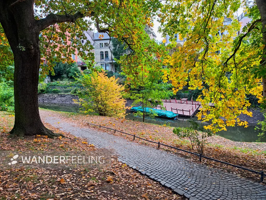 202210040-02 - Oker am Museumpark in Braunschweig, Niedersachsen, Deutschland