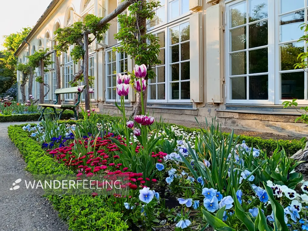202504300-04 - Orangerie im Neuen Garten, Potsdam, Brandenburg, Deutschland