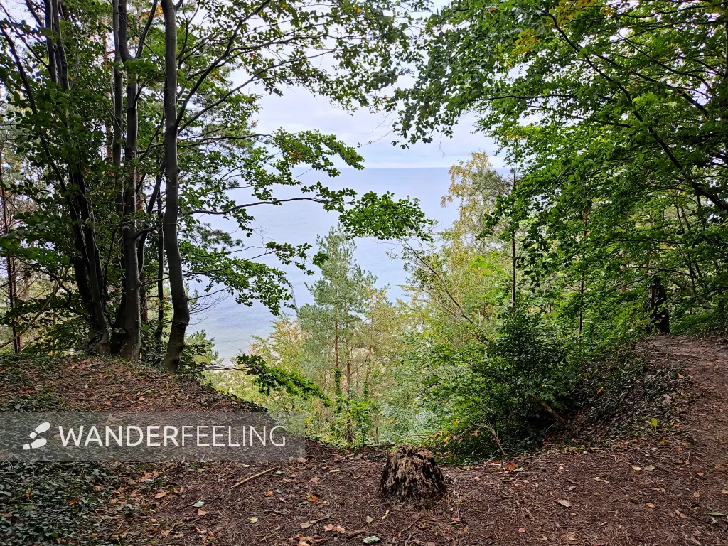 202310170-46 - Ostseeblick bei Koserow, Usedom, Mecklenburg-Vorpommern, Deutschland