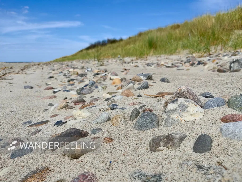 202307111-19 - Ostseestrand bei Markgrafenheide, Mecklenburg-Vorpommern, Deutschland