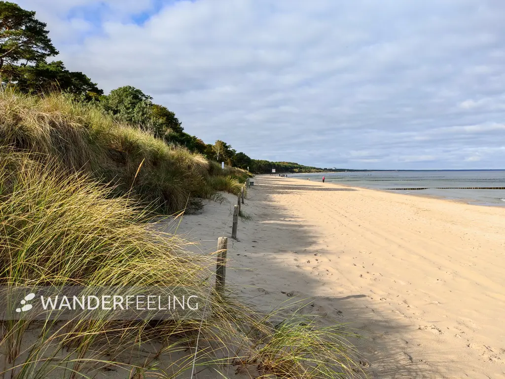 202310170-20 - Ostseestrand bei Zempin, Usedom, Mecklenburg-Vorpommern, Deutschland