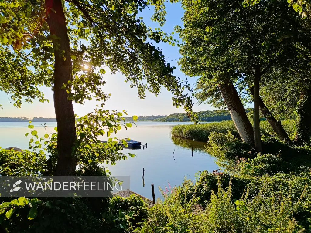 202408060-37 - Pätzer Vordersee bei Pätz, Dahme-Seenland, Brandenburg, Deutschland