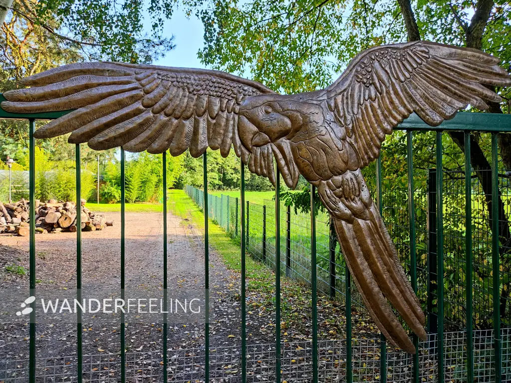 202310250-13 - Papageienschutzanlage bei Rädel, Fläming, Brandenburg, Deutschland