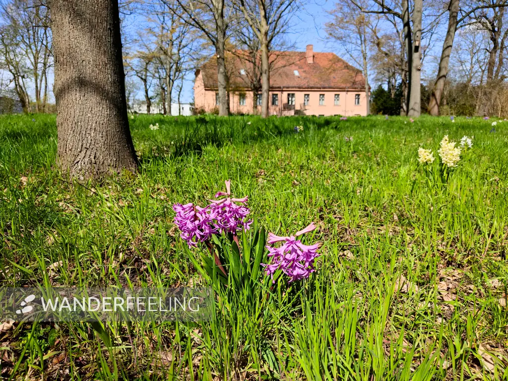 202304120-30 - Park am Gutshaus in Mahlsdorf, Berlin, Deutschland