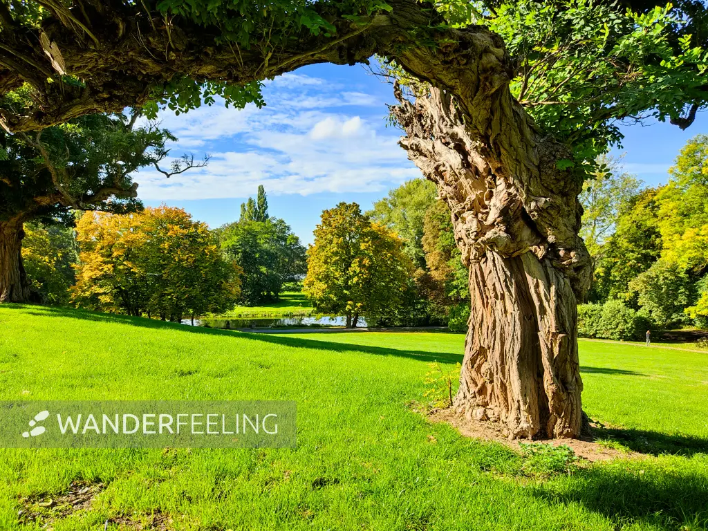 202210040-30 - Park Richmond in Braunschweig, Niedersachsen, Deutschland