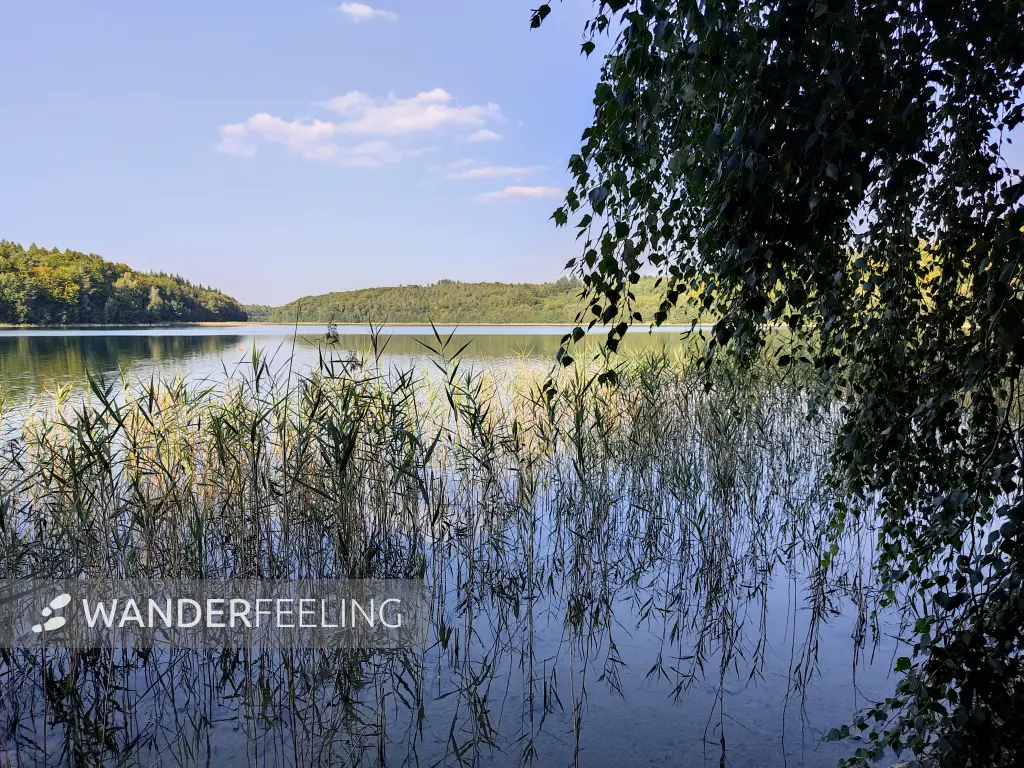 202309110-24 - Peetschsee bei Neuglobsow, Ruppiner Seenland, Brandenburg, Deutschland
