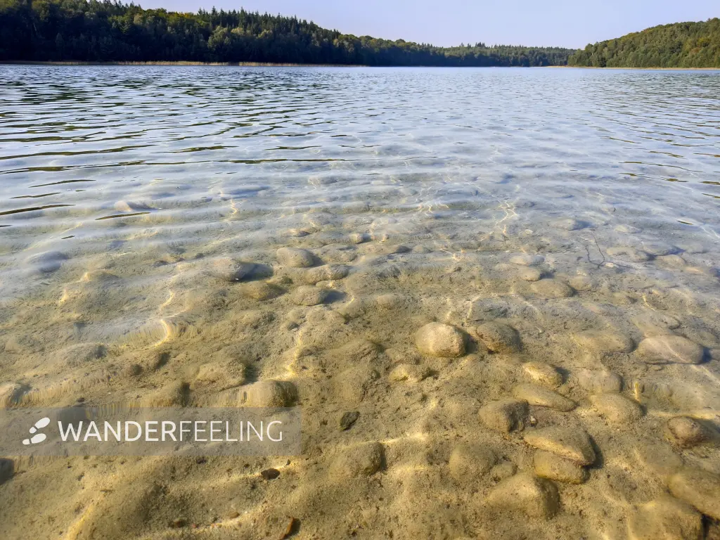 202309110-25 - Peetschsee bei Neuglobsow, Ruppiner Seenland, Brandenburg, Deutschland