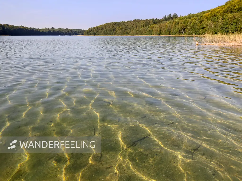 202309110-26 - Peetschsee bei Neuglobsow, Ruppiner Seenland, Brandenburg, Deutschland