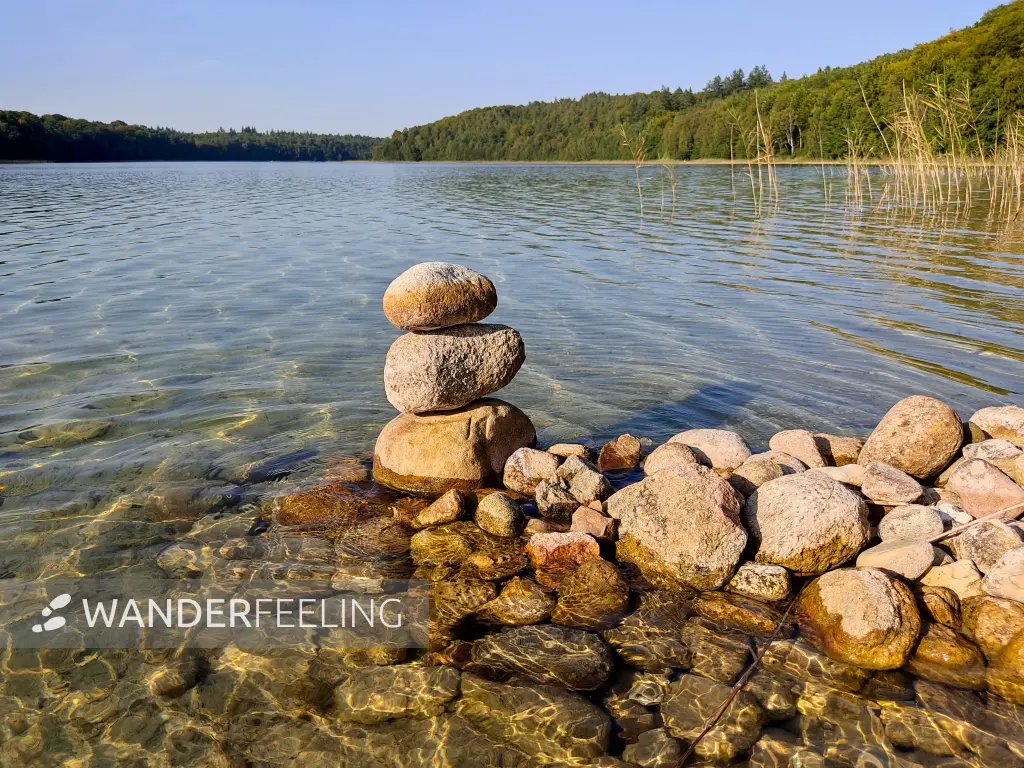 202309110-27 - Peetschsee bei Neuglobsow, Ruppiner Seenland, Brandenburg, Deutschland