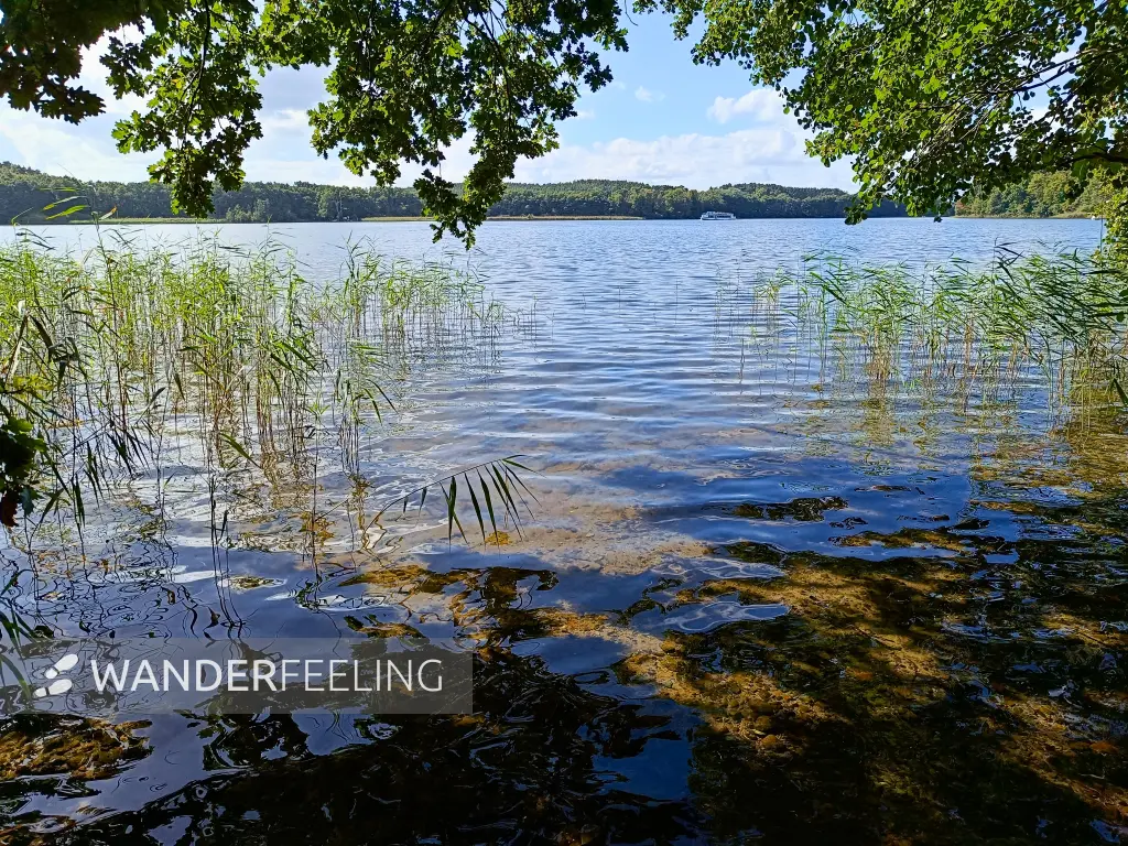202509120-18 - Petersdorfer See, Mecklenburgische Seenplatte, Mecklenburg-Vorpommern, Deutschland