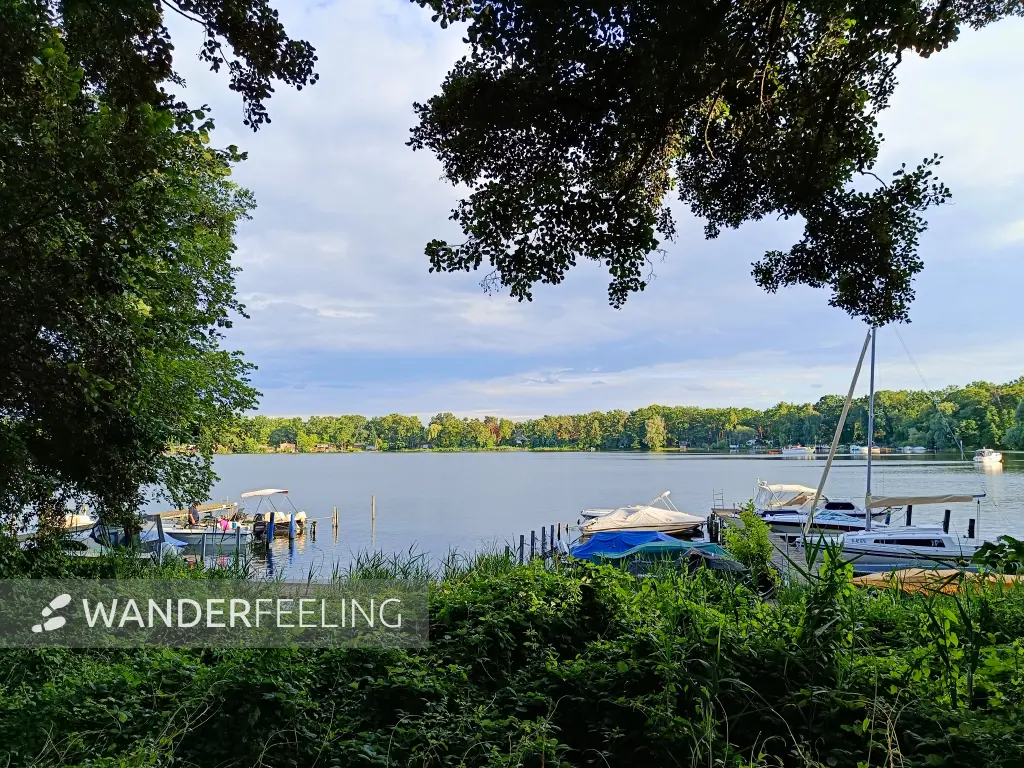 202507300-21 - Petzinsee bei Geltow, Brandenburg, Deutschland