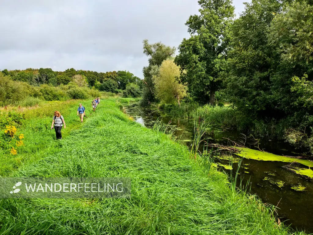 202308260-08 - Pfefferfließ bei Stangenhagen, Fläming, Brandenburg, Deutschland