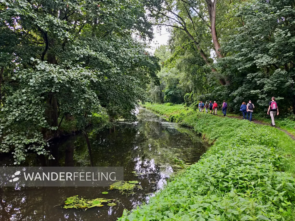 202308260-09 - Pfefferfließ bei Stangenhagen, Fläming, Brandenburg, Deutschland