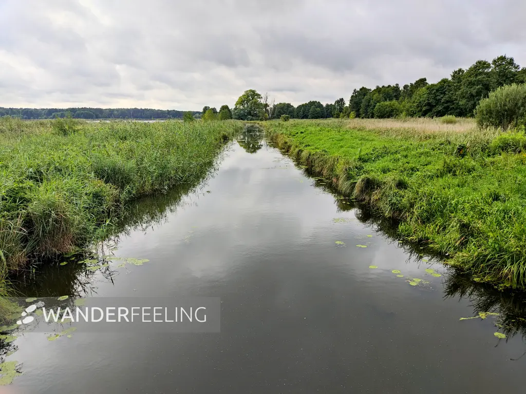 202308260-15 - Pfefferfließ bei Stangenhagen, Fläming, Brandenburg, Deutschland