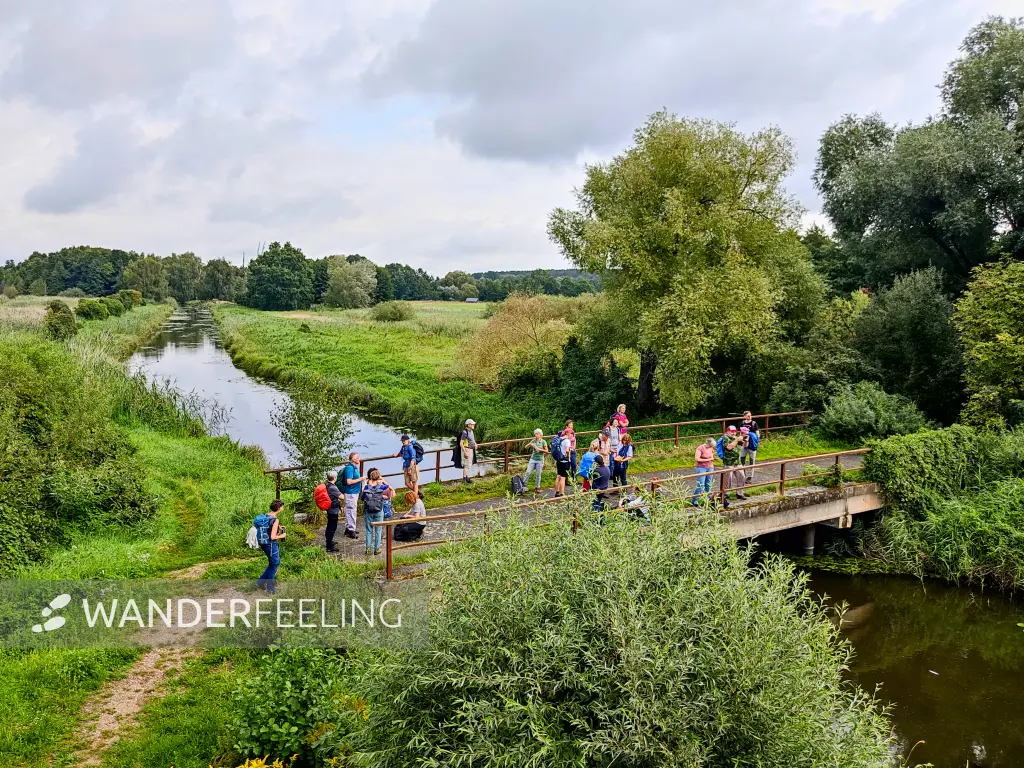 202308260-17 - Pfefferfließ bei Stangenhagen, Fläming, Brandenburg, Deutschland