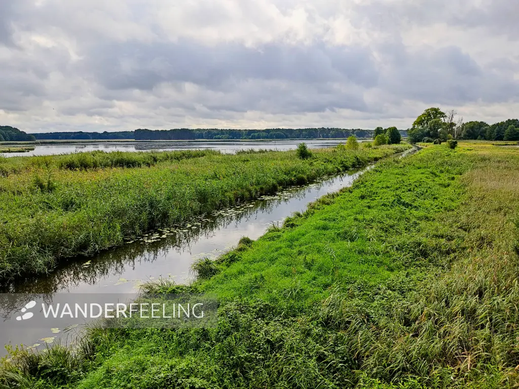 202308260-18 - Pfefferfließ bei Stangenhagen, Fläming, Brandenburg, Deutschland