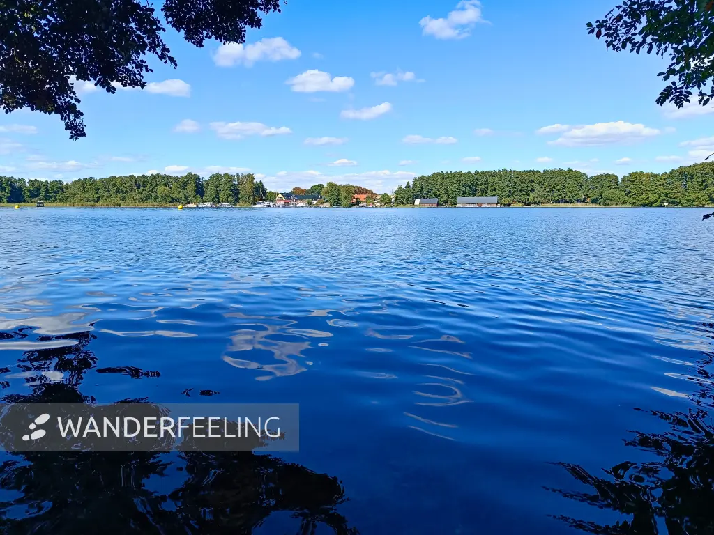 202508260-35 - Plauer See an der Insel Werder bei Alt Schwerin, Mecklenburgische Seenplatte, Mecklenburg-Vorpommern, Deutschland