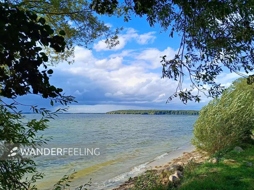 202509120-35 - Plauer See bei Lenz, Mecklenburgische Seenplatte, Mecklenburg-Vorpommern, Deutschland