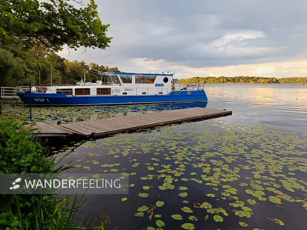 202507300-29 - Polizeiboot auf dem Templiner See, Potsdam, Brandenburg, Deutschland