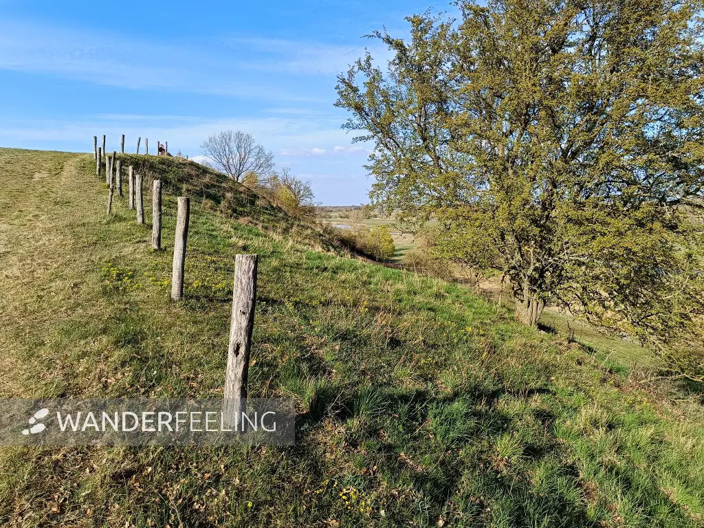 202604150-42 - Pontische Hänge bei Lebus, Seenland Oder-Spree, Brandenburg, Deutschland