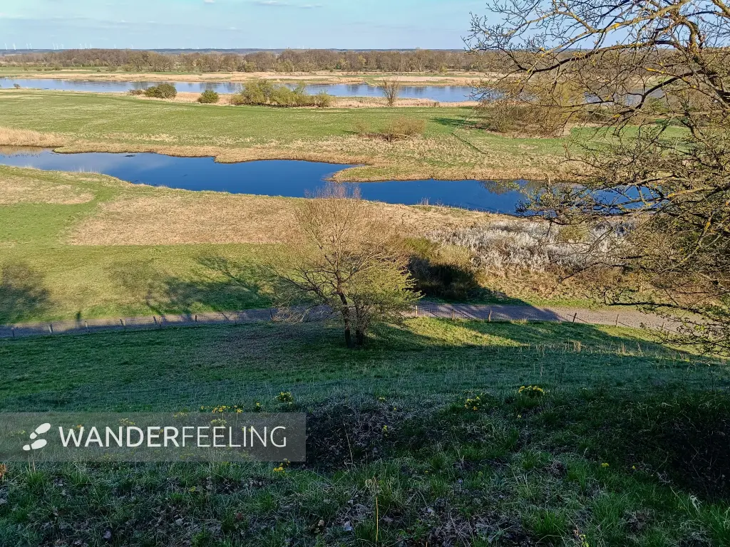 202604150-43 - Pontische Hänge und Oder bei Lebus, Seenland Oder-Spree, Brandenburg, Deutschland