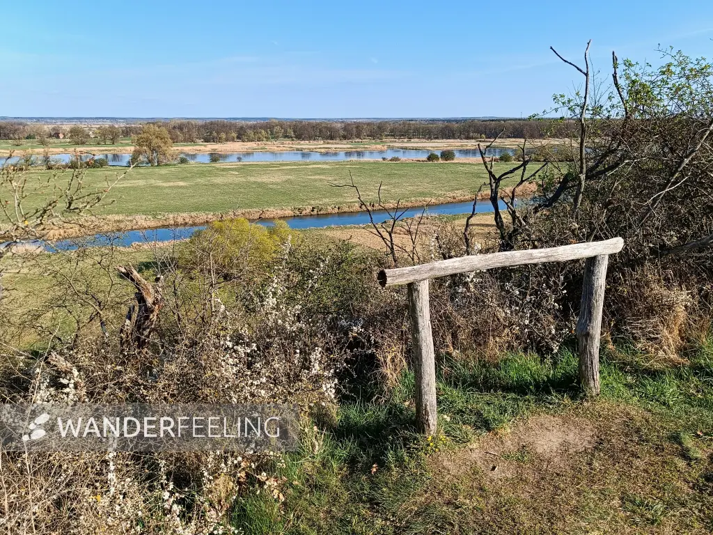 202604150-40 - Pontische Hänge und Oder bei Lebus, Seenland Oder-Spree, Brandenburg, Deutschland, Seenland Oder-Spree, Brandenburg, Deutschland