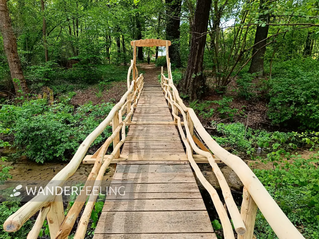 202505080-17 - Postwegbrücke bei Frohnsdorf, Fläming, Brandenburg, Deutschland