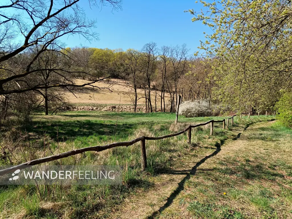 202604150-01 - Priesterschlucht bei Podelzig, Seenland Oder-Spree, Brandenburg, Deutschland